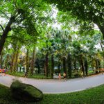 Ecopark Vinh - Hưởng Thụ Không Gian Sống Xanh Giữa Lòng Thành Phố Vinh 15 4 uslk