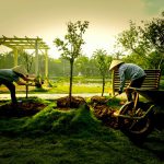 Cây Xanh Ecopark - Những Số Liệu Thống Kê Đáng Kinh Ngạc 4 thanh pho ecopark co thiet ke canh quan dep nhat the gioi 5